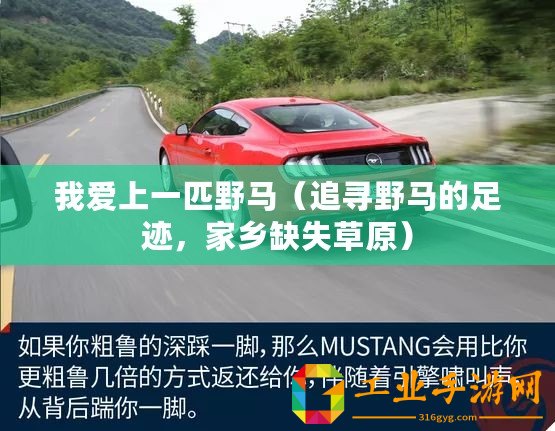 我愛上一匹野馬（追尋野馬的足跡，家鄉缺失草原）