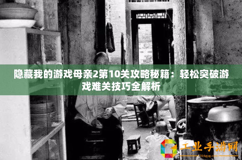 隱藏我的游戲母親2第10關(guān)攻略秘籍：輕松突破游戲難關(guān)技巧全解析