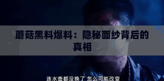 ??麥芬探險(xiǎn)家必看解鎖高性價(jià)比禮包，氪金不迷路全攻略！??