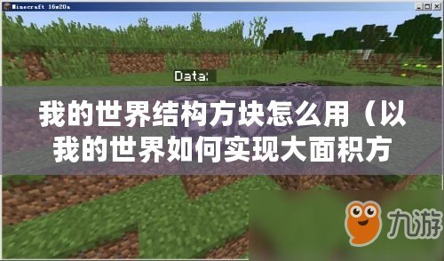 我的世界結構方塊怎么用（以我的世界如何實現大面積方塊復制？）