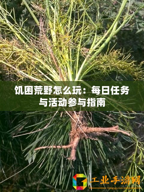 饑困荒野怎么玩：每日任務(wù)與活動參與指南