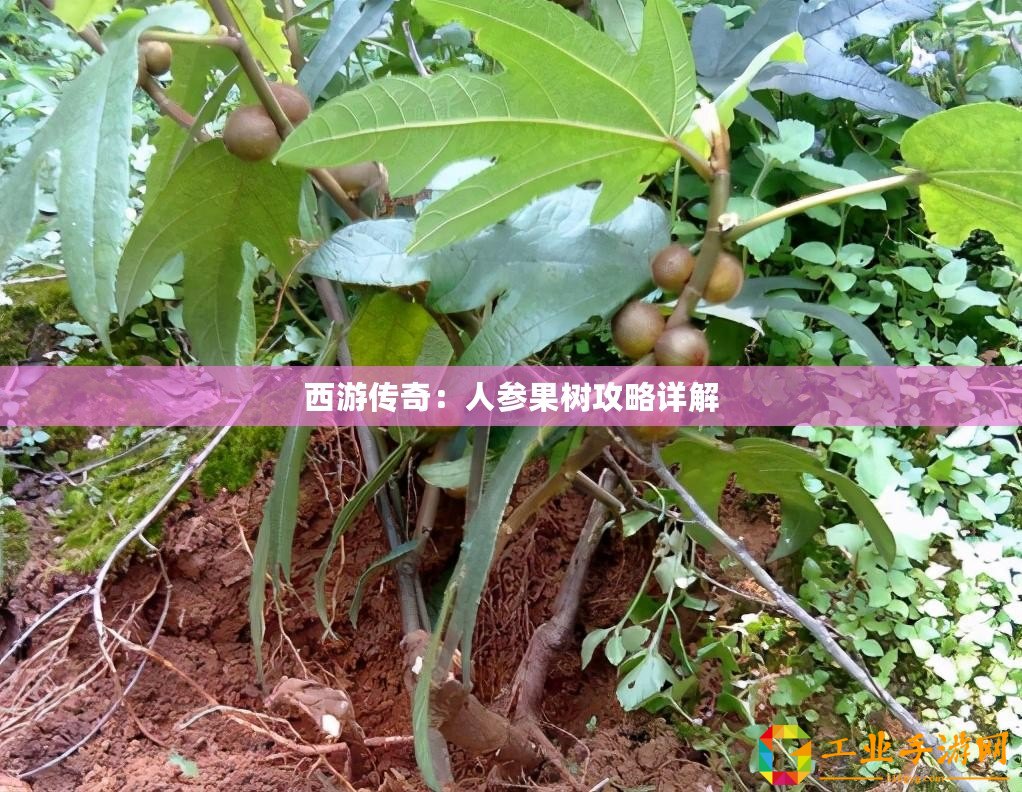 ??揭秘保衛蘿卜4法老歸來第19關，智慧與策略的終極挑戰??