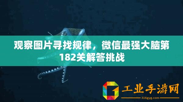 觀察圖片尋找規(guī)律，微信最強(qiáng)大腦第182關(guān)解答挑戰(zhàn)