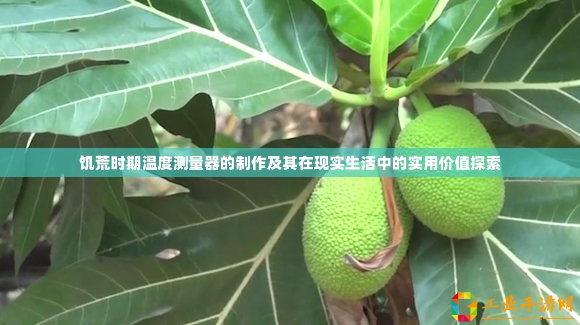 饑荒時(shí)期溫度測(cè)量器的制作及其在現(xiàn)實(shí)生活中的實(shí)用價(jià)值探索