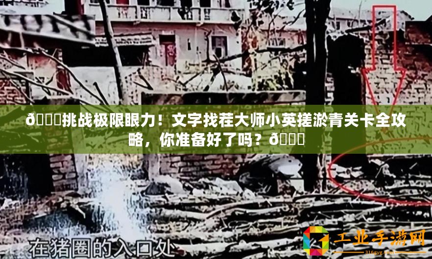 ??挑戰極限眼力！文字找茬大師小英搓淤青關卡全攻略，你準備好了嗎？??