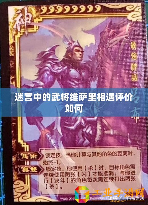 迷宮中的武將維薩里相遇評(píng)價(jià)如何