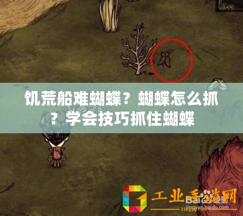 饑荒船難蝴蝶？蝴蝶怎么抓？學(xué)會技巧抓住蝴蝶