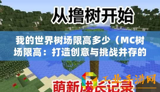 我的世界樹(shù)場(chǎng)限高多少（MC樹(shù)場(chǎng)限高：打造創(chuàng)意與挑戰(zhàn)并存的極致游樂(lè)體驗(yàn)！）