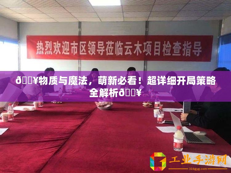 ??物質與魔法，萌新必看！超詳細開局策略全解析??