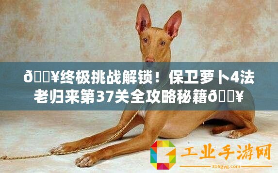 ??終極挑戰解鎖！保衛蘿卜4法老歸來第37關全攻略秘籍??