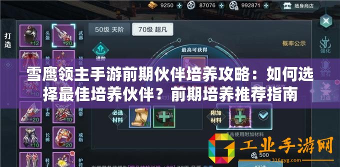 雪鷹領(lǐng)主手游前期伙伴培養(yǎng)攻略：如何選擇最佳培養(yǎng)伙伴？前期培養(yǎng)推薦指南