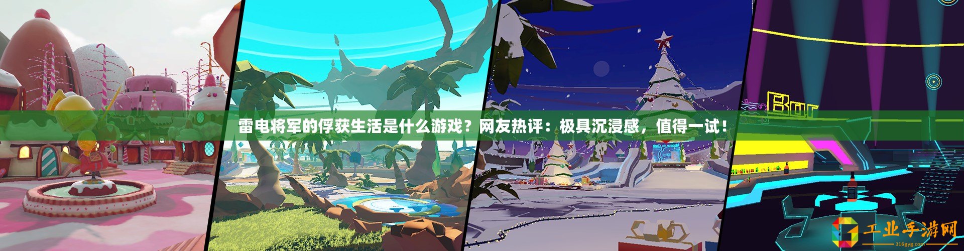雷電將軍的俘獲生活是什么游戲？網友熱評：極具沉浸感，值得一試！
