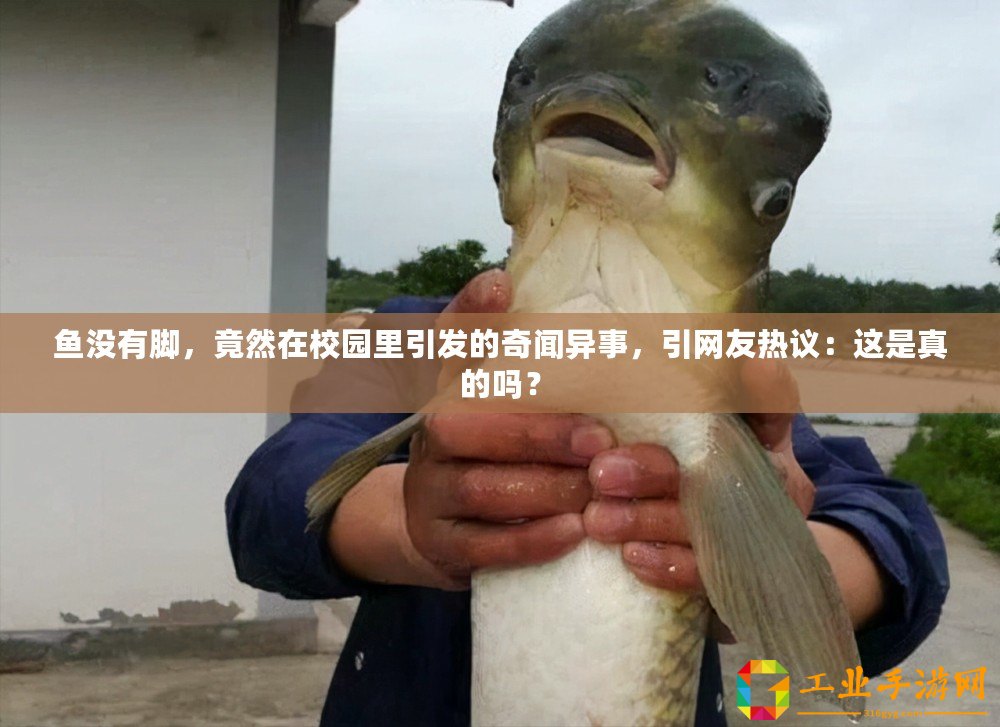 魚(yú)沒(méi)有腳，竟然在校園里引發(fā)的奇聞異事，引網(wǎng)友熱議：這是真的嗎？