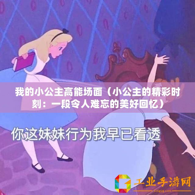 我的小公主高能場面（小公主的精彩時(shí)刻：一段令人難忘的美好回憶）