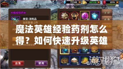 魔法英雄經(jīng)驗(yàn)藥劑怎么得？如何快速升級英雄？