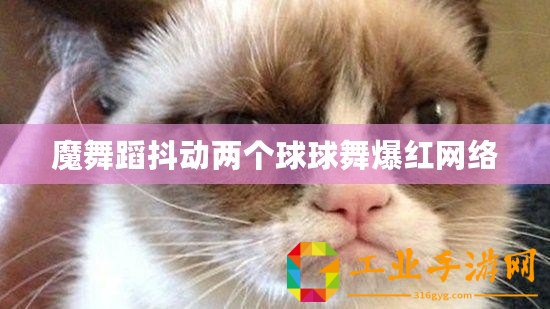 魔舞蹈抖動(dòng)兩個(gè)球球舞爆紅網(wǎng)絡(luò)