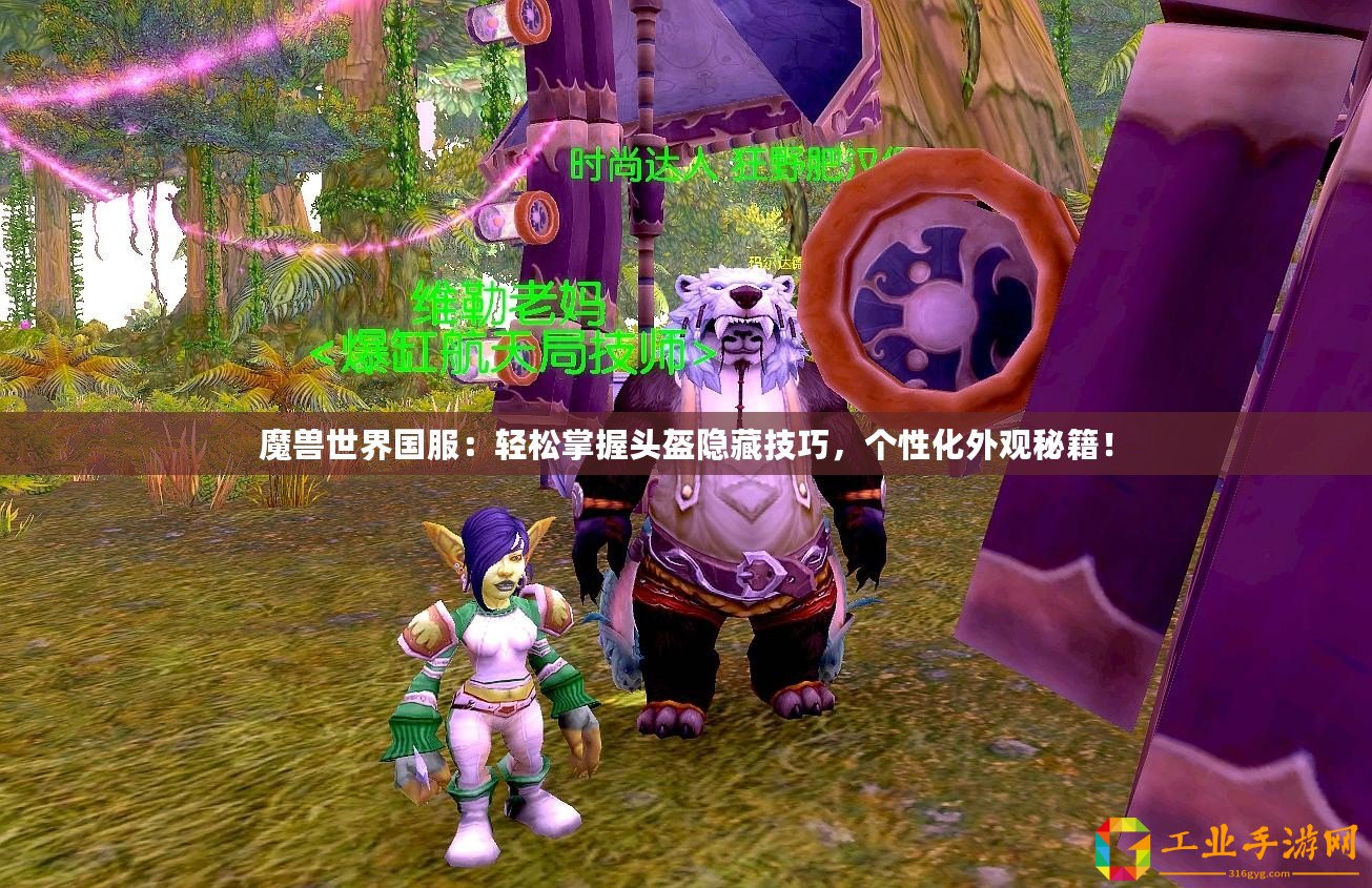 魔獸世界國服：輕松掌握頭盔隱藏技巧，個性化外觀秘籍！