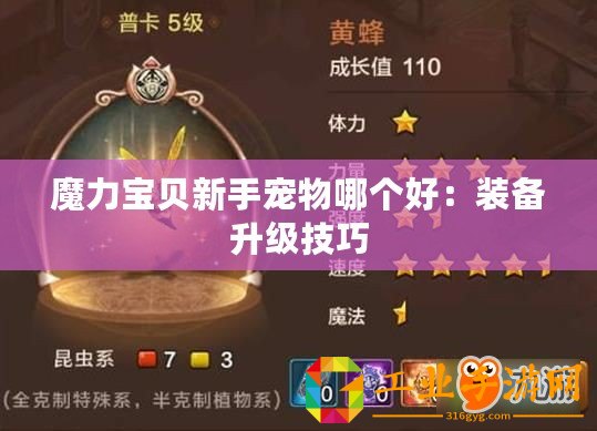魔力寶貝新手寵物哪個好：裝備升級技巧