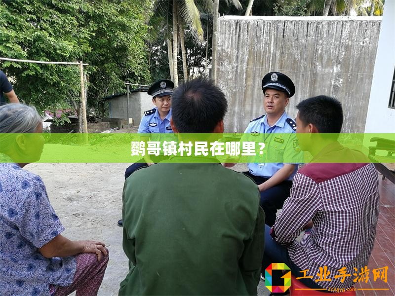 鸚哥鎮村民在哪里？