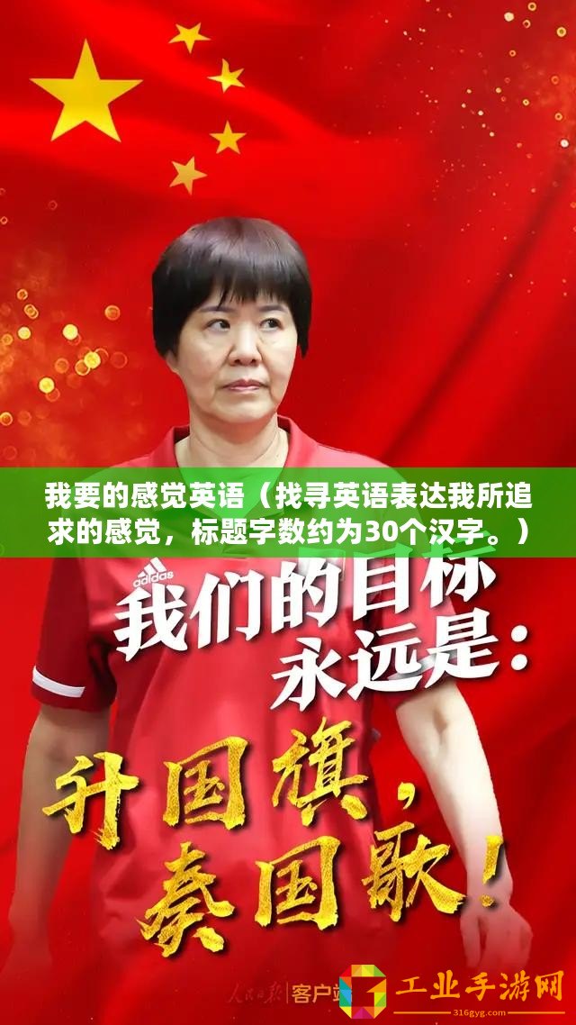 我要的感覺英語（找尋英語表達(dá)我所追求的感覺，標(biāo)題字?jǐn)?shù)約為30個(gè)漢字。）