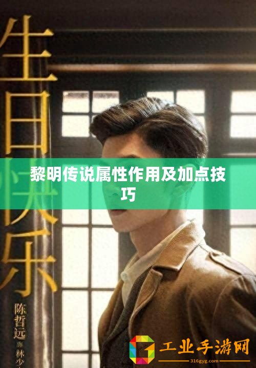 黎明傳說(shuō)屬性作用及加點(diǎn)技巧