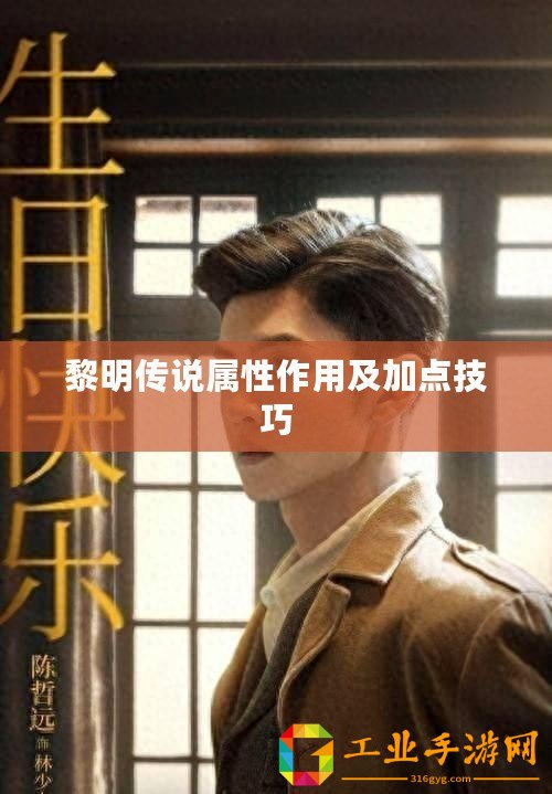 黎明傳說(shuō)屬性作用及加點(diǎn)技巧