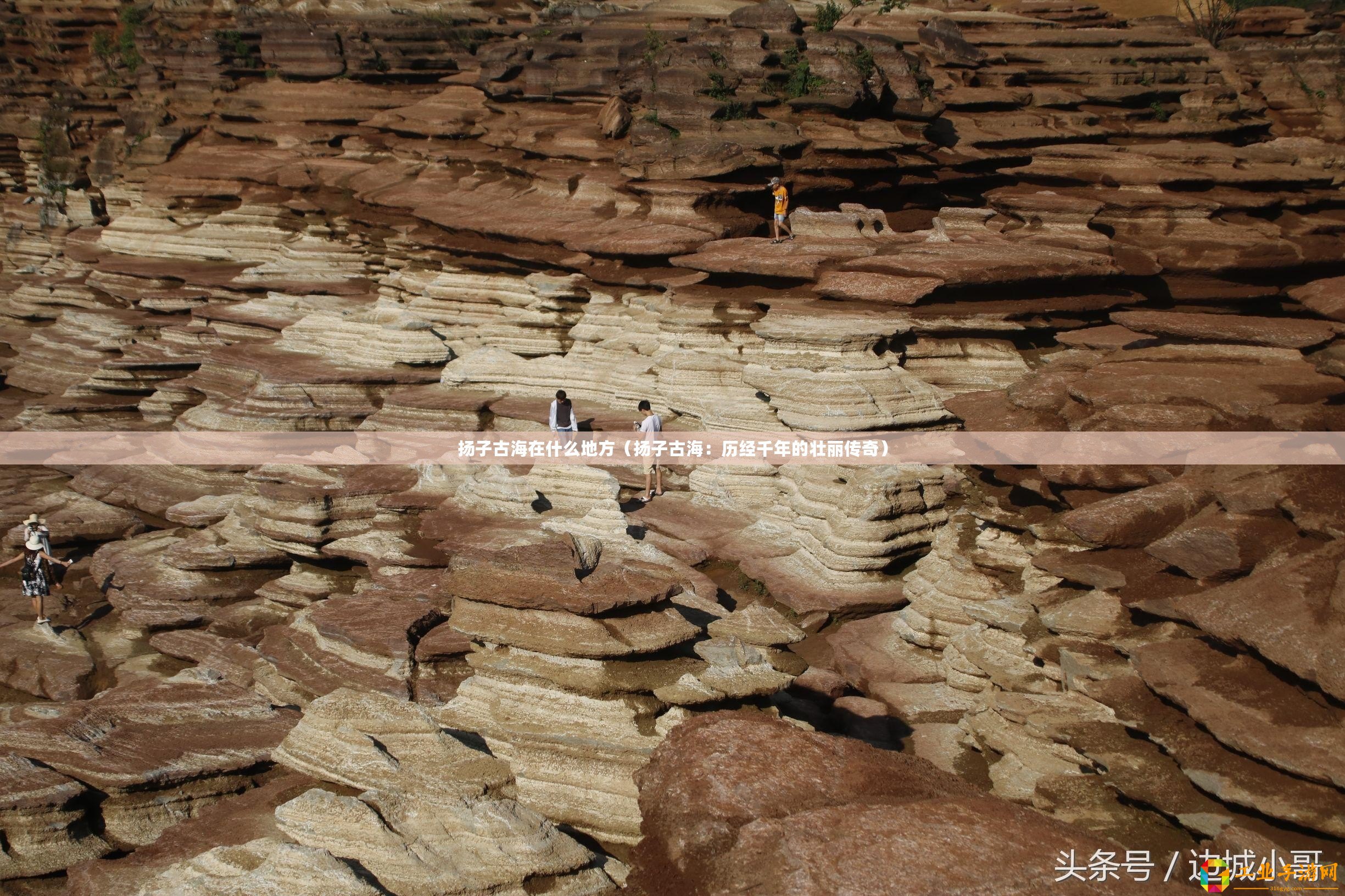 揚子古海在什么地方（揚子古海：歷經(jīng)千年的壯麗傳奇）