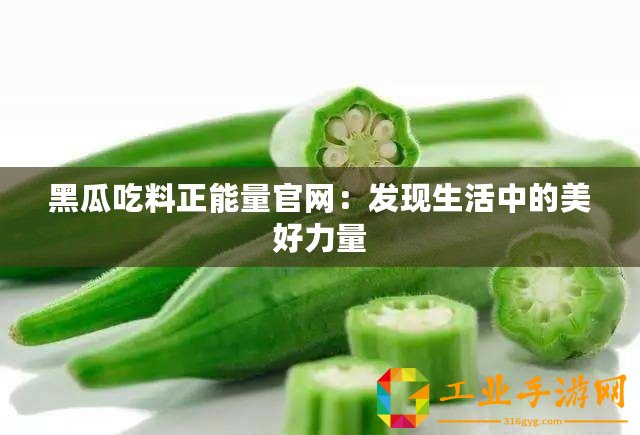 黑瓜吃料正能量官網：發現生活中的美好力量