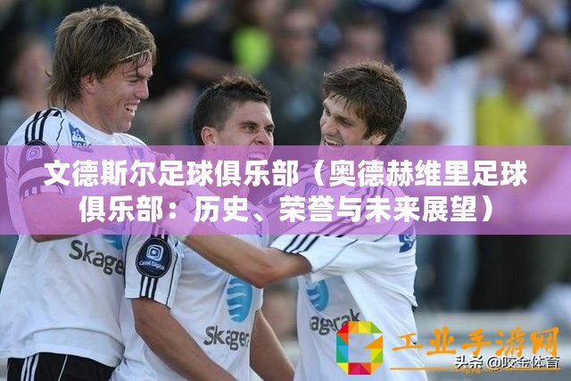文德斯爾足球俱樂部（奧德赫維里足球俱樂部：歷史、榮譽與未來展望）