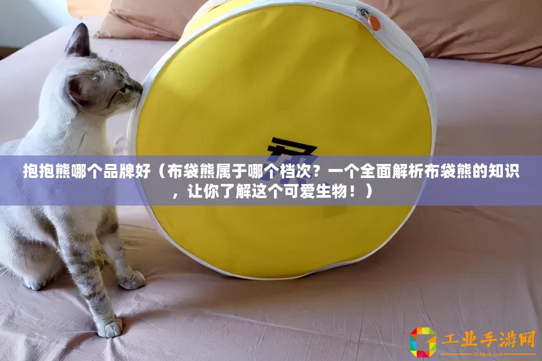 抱抱熊哪個(gè)品牌好（布袋熊屬于哪個(gè)檔次？一個(gè)全面解析布袋熊的知識(shí)，讓你了解這個(gè)可愛生物！）