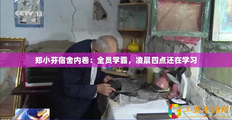 鄭小芬宿舍內(nèi)卷：全員學(xué)霸，凌晨四點(diǎn)還在學(xué)習(xí)