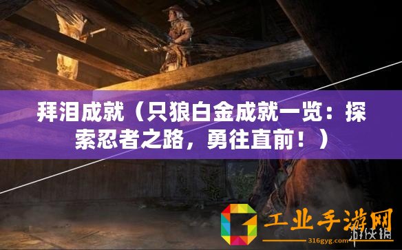 拜淚成就（只狼白金成就一覽：探索忍者之路，勇往直前！）