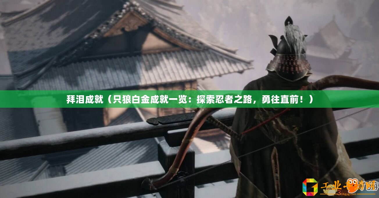 拜淚成就（只狼白金成就一覽：探索忍者之路，勇往直前?。?/>			</a>
		</figure>
		<div   id=