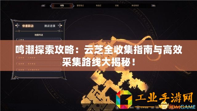 鳴潮探索攻略：云芝全收集指南與高效采集路線大揭秘！