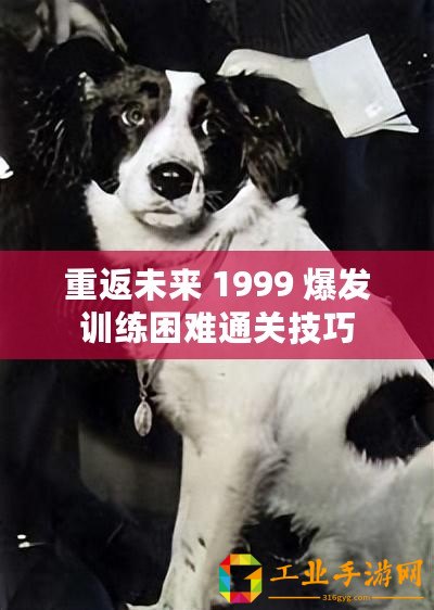 重返未來(lái) 1999 爆發(fā)訓(xùn)練困難通關(guān)技巧