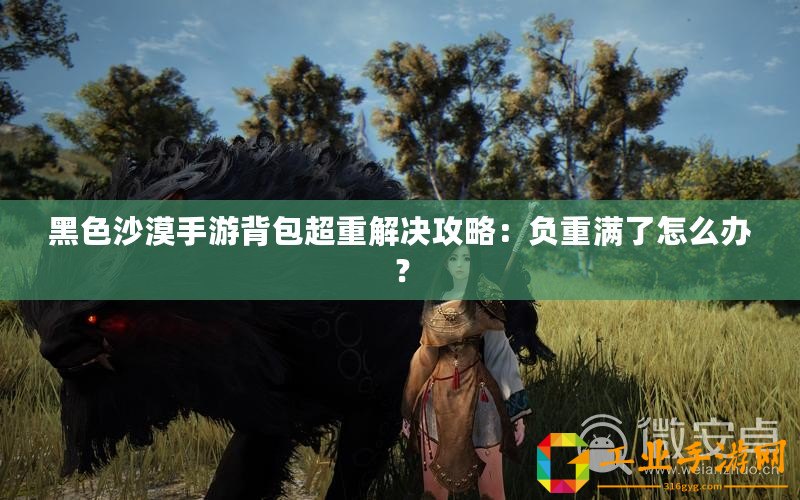 黑色沙漠手游背包超重解決攻略：負重滿了怎么辦？