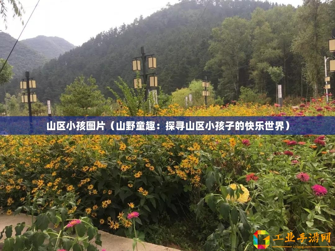 山區(qū)小孩圖片（山野童趣：探尋山區(qū)小孩子的快樂(lè)世界）