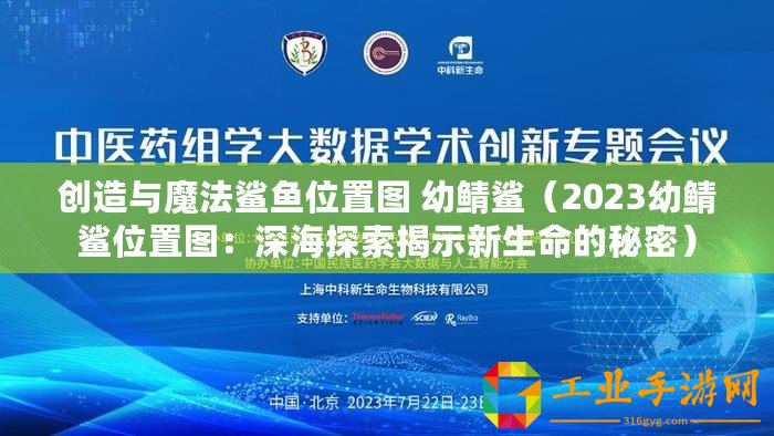 創造與魔法鯊魚位置圖 幼鯖鯊（2023幼鯖鯊位置圖：深海探索揭示新生命的秘密）