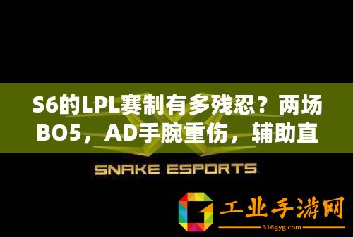 S6的LPL賽制有多殘忍？兩場BO5，AD手腕重傷，輔助直接退役
